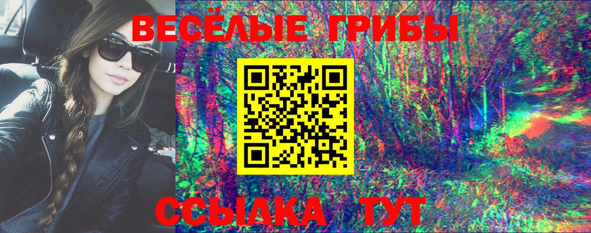 Псилоцибиновые грибы Psilocybine cubensis  купить  цена  Луховицы  Вход с VPN 